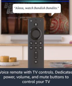 Buy Amazon Fire Tv Stick Features India 2021 With Alexa Voice Remote