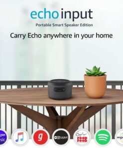 Best Echo Input Review India 2021 | Portable to Carry Anywhere