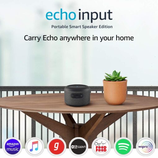 Best Echo Input Review India 2021 | Portable to Carry Anywhere