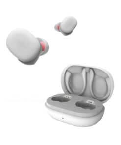 Best noise Cancelling Wireless Earbuds 2021 in Budget